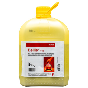 Bellis 38 WG 5KG
