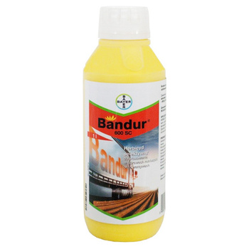 Bandur 600 SC 1L