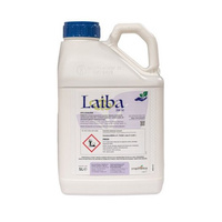 1L