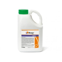 5L