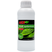 1L