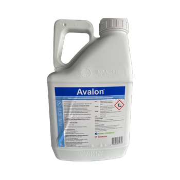 Avalon 5L