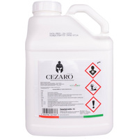 5L