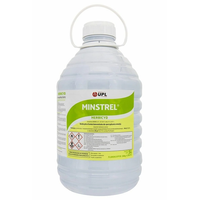 Minstrel 5L