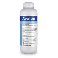 Avalon 1L